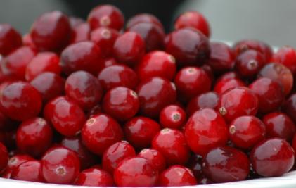 cranberrys2